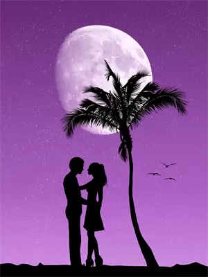 倾心恋曲Love用户