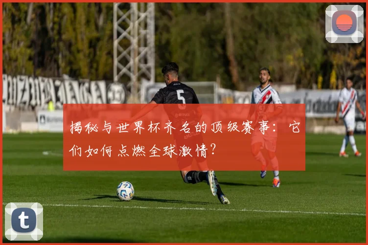 揭秘与世界杯齐名的顶级赛事:它们如何点燃全球激情?