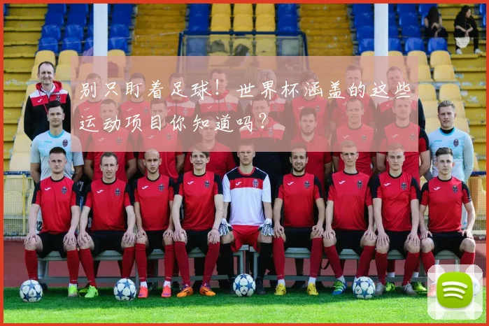 别只盯着足球!世界杯涵盖的这些运动项目你知道吗?