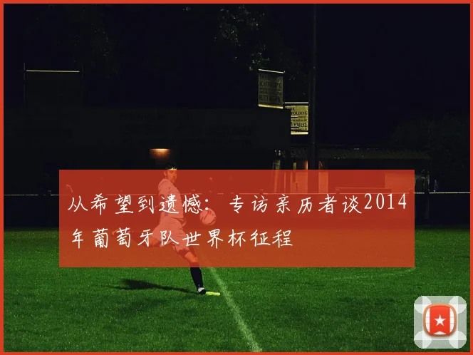 从希望到遗憾:专访亲历者谈2014年葡萄牙队世界杯征程