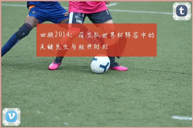 回顾2014：荷兰队世界杯阵容中的关键先生与经典时刻