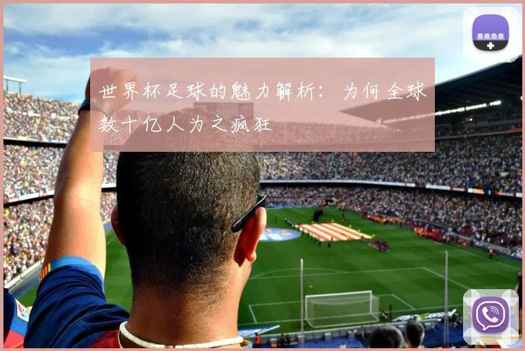 世界杯足球的魅力解析：为何全球数十亿人为之疯狂